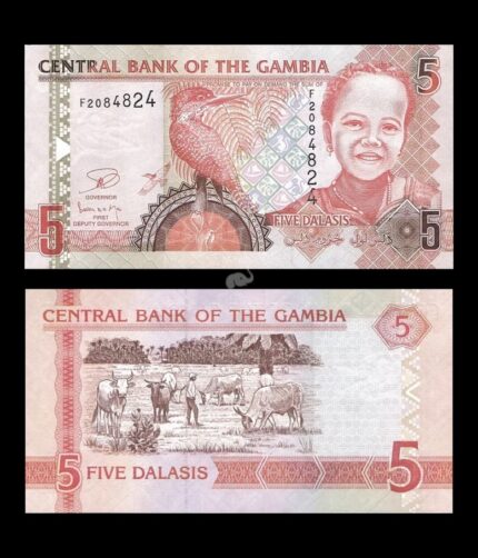 Gambia 5 Dalasis 2006-14 P-25c UNC Bank Note