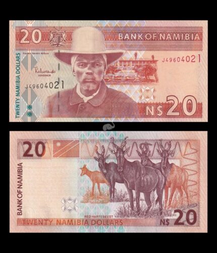 Namibia 20 Dollars 1993 P-6b UNC Bank Note