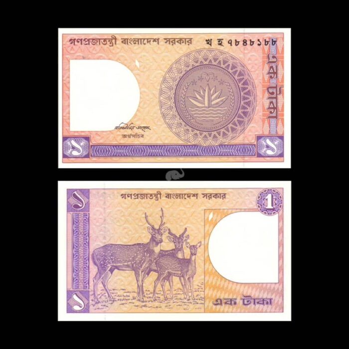 photo-output-compressed