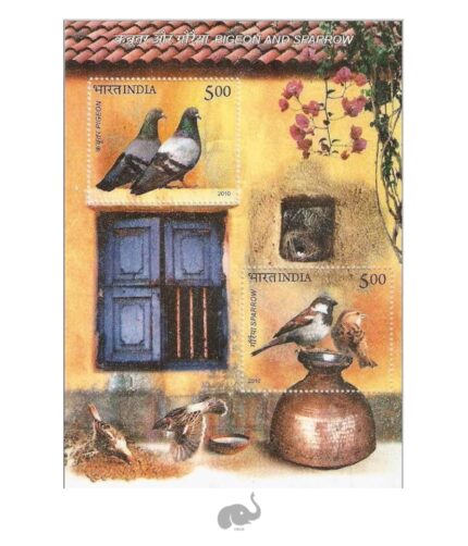 India 2010 Pigeon & Sparrow miniature Sheet