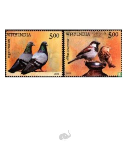 India 2010 Pigeon & sparrow set of 2 MNH