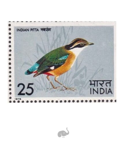 India 1975 Birds - Indian Pitta MNH Stamp