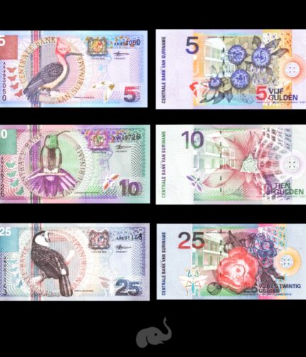 Suriname 5-25 Gulden Set of 3 (2000 Birds) Rare UNC Bank Notes