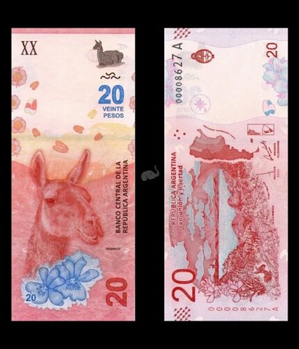 Argentina 20 Pesos 2017 P-361(1) UNC Bank Note