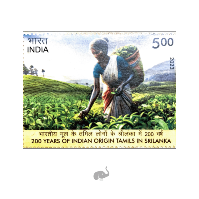 photo-output-compressed