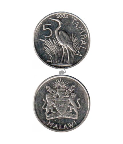 Malawi 5 Tambla 2003 UNC Coin