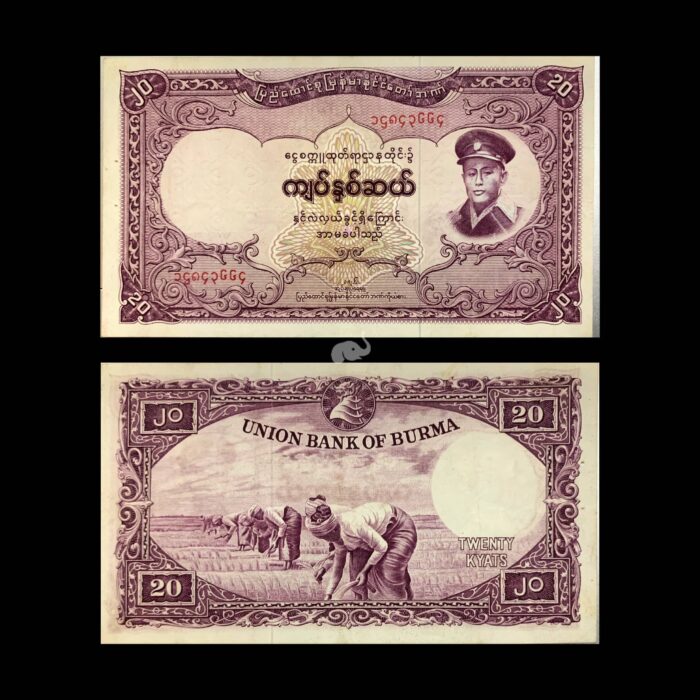 photo-output-compressed