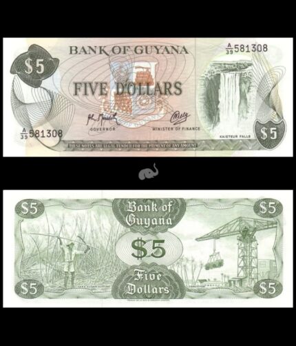 Guyana 5 Dollars 1996-99 P-22f(2) UNC Bank Note