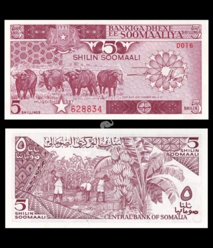 Somalia 5 Shillings 1987 P-31c UNC Bank Note