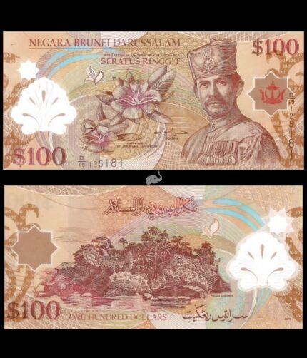 Brunei 100 Dollars 2013 P-29c UNC Polymer Bank Note