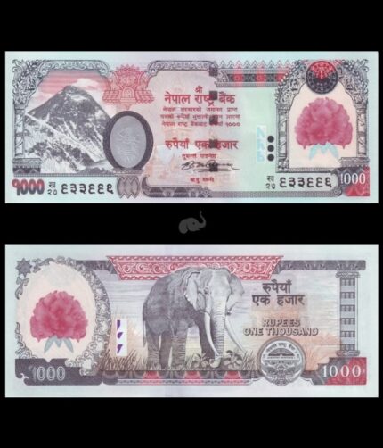 Nepal 1000 Rupees 2008 P-67b with flowers UNC Bank Note