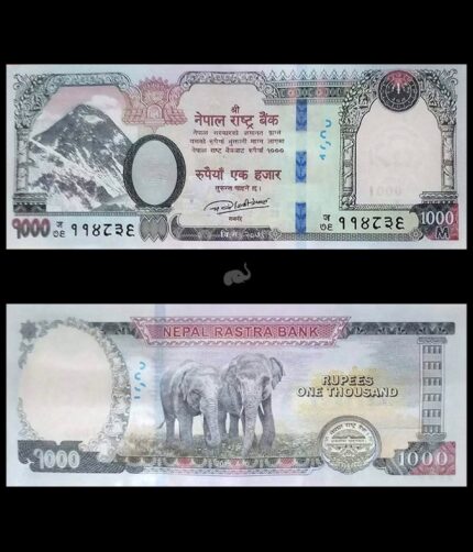 Nepal 1000 Rupees 2019 P-W82 UNC Bank Note