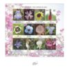 India 2013 Wild flowers of India Miniature sheet stamp