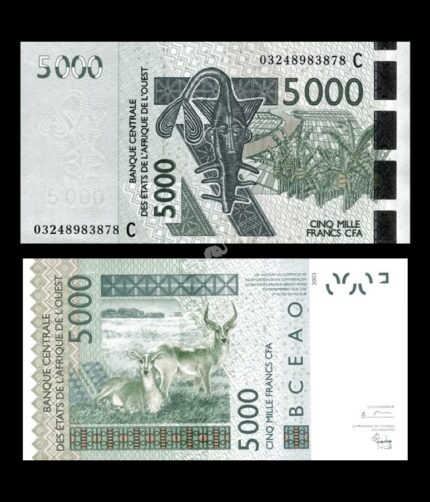 Ivory Coast 5000 CFA Francs 2003 P-317CA UNC