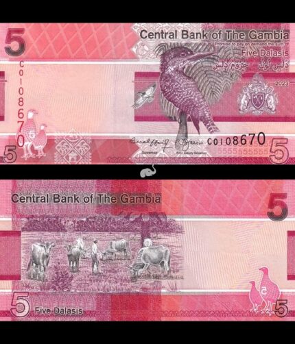 Gambia 5 Dalasis 2023 P-W37 New UNC