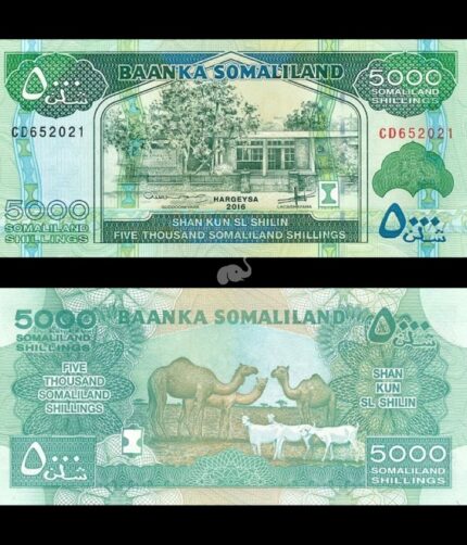 Somaliland 5000 Shillings 2016 P-21C UNC