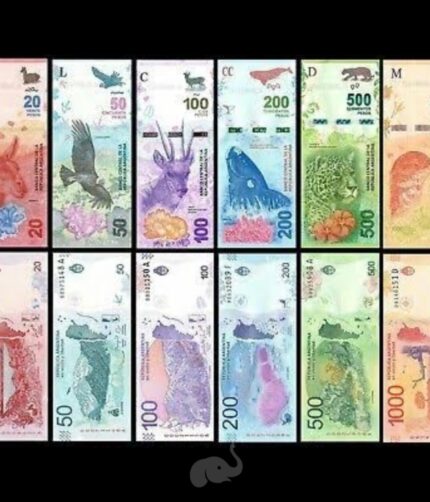 Argentina 20 – 1000 Pesos 2015-24 UNC Set of 6 Notes