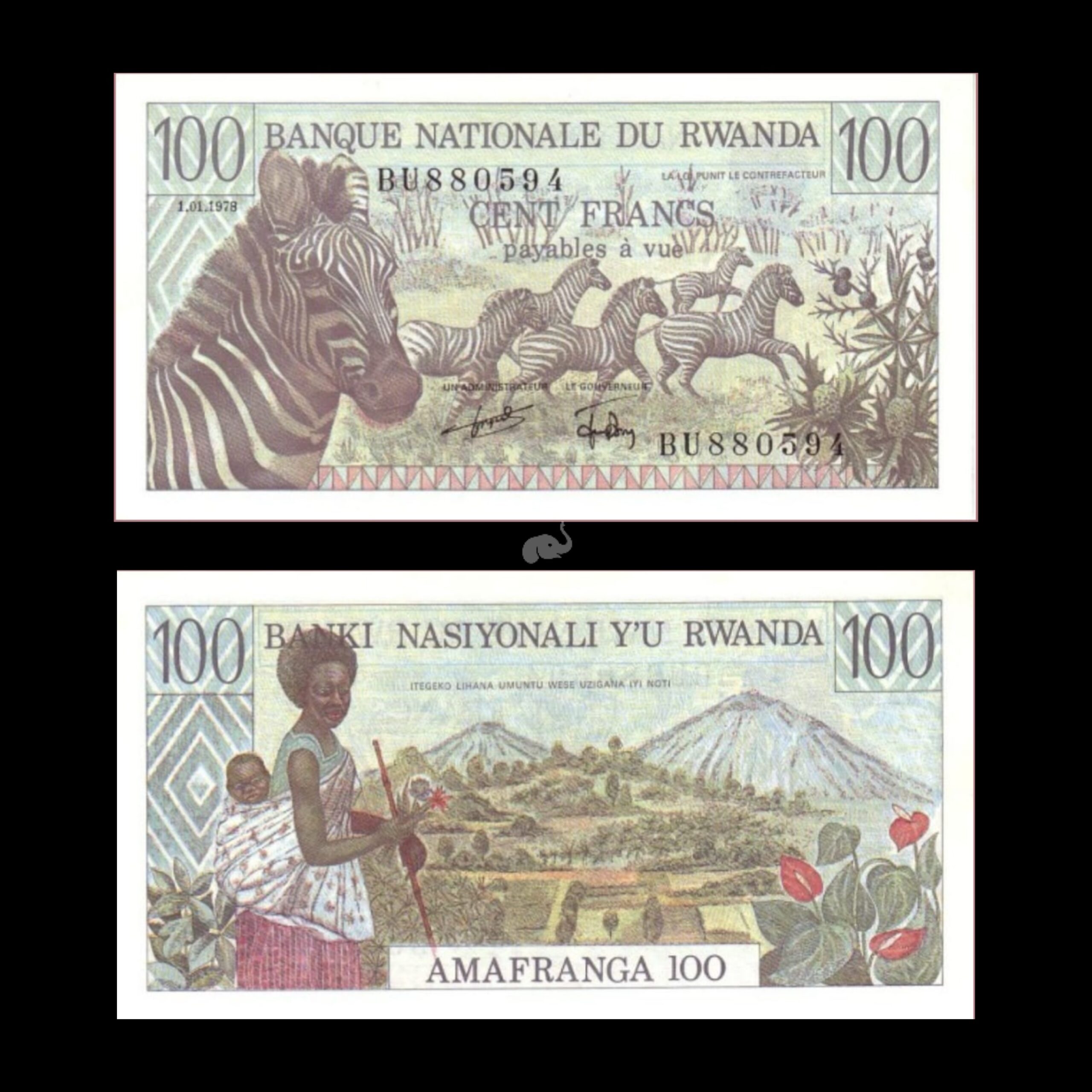 Rwanda 100 Francs 1989 Banknote - Uncirculated P-19 Zebra Currency Note
