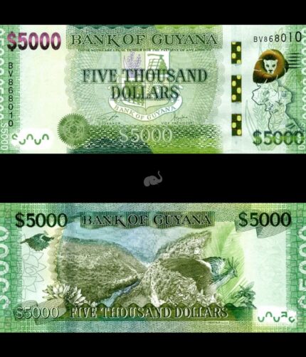 Guyana 5000 Dollars 2022 P40a(3) UNC