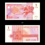 Kyrgyzstan 1 Som 1993 P4 UNC