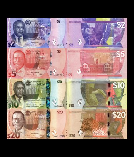 Belize set of 4 notes 2025 PW73-76