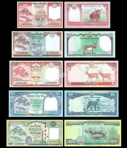 Nepal Set of 5 notes 5,10,20,50,100 Rupees UNC